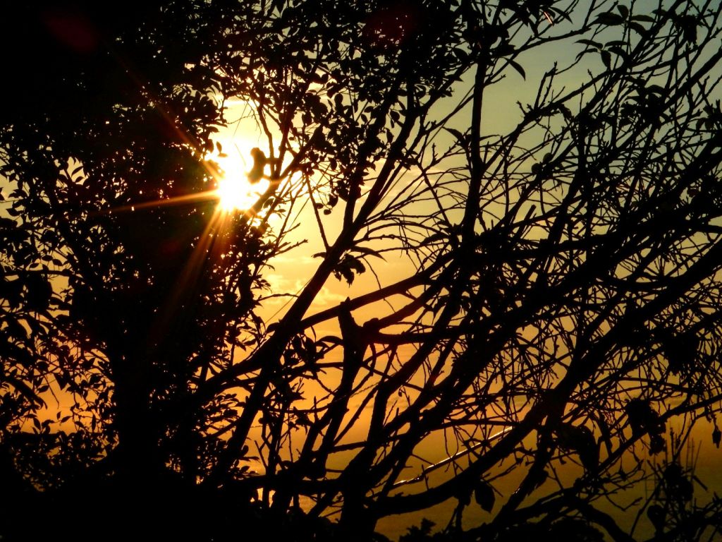 觀音山硬漢嶺夕陽_393693