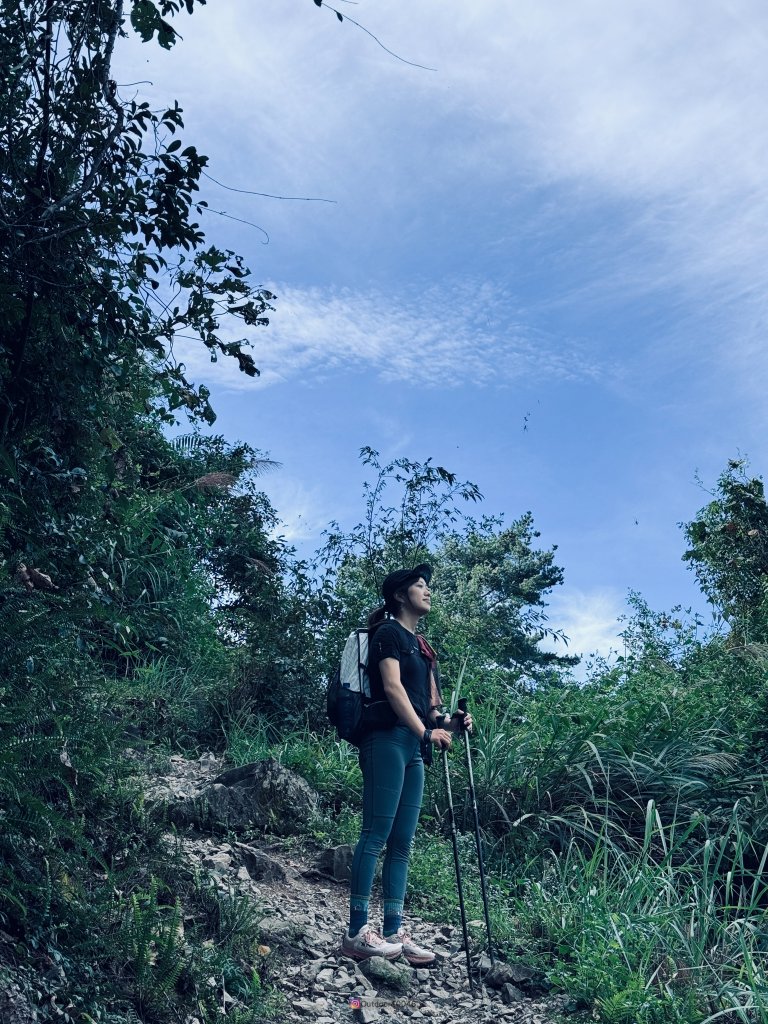 松鶴上八仙_2653168