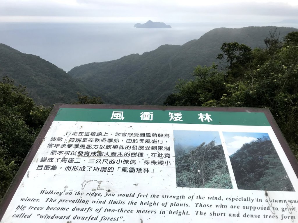 桃源谷（內寮線）20210228_1968569