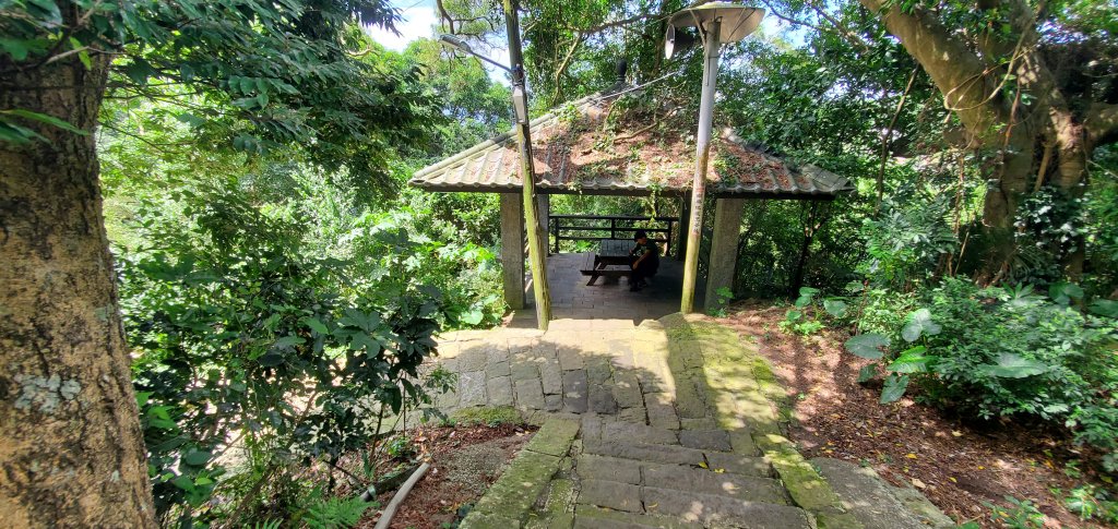 2024-06-15觀音山【福隆山、尖山(占山)登山步道】O走_2528183