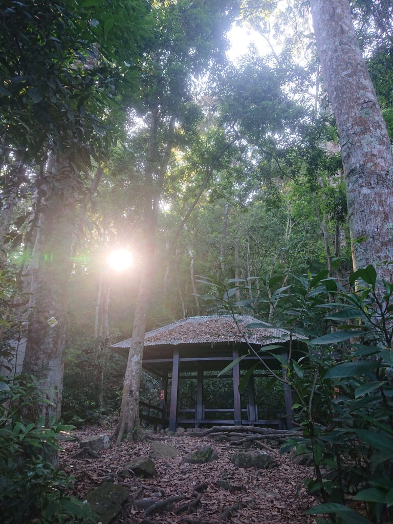 唐麻丹山_2790154