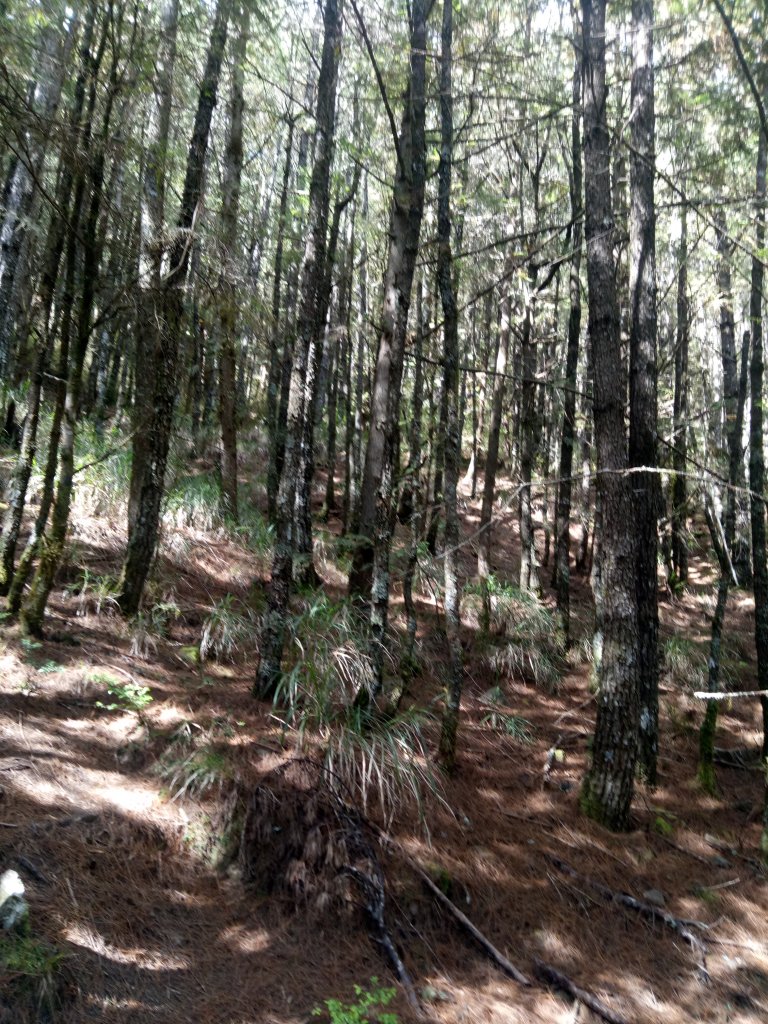 將軍廟上天鑾池+武法奈尾山_1881008