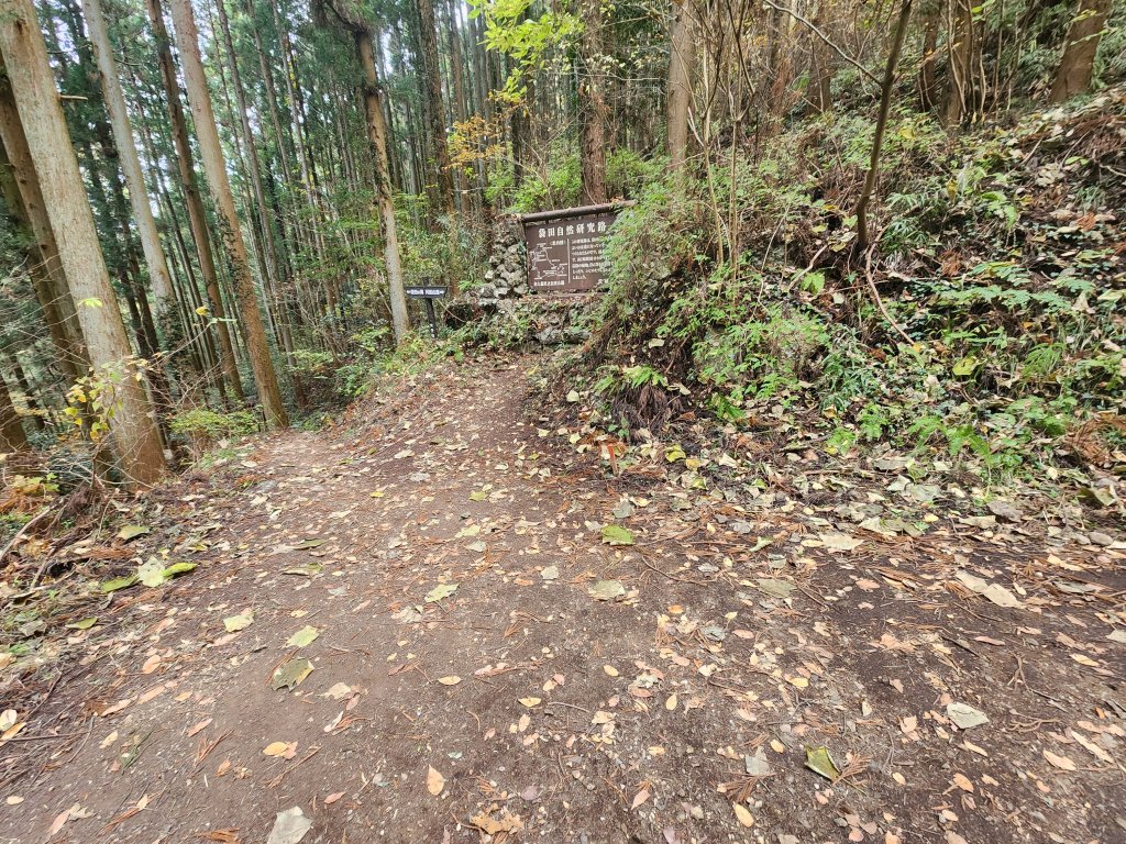20251125登月居山遊袋田瀑布順遊舊上岡小學校_2958369
