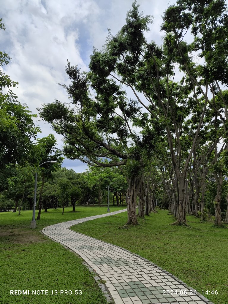 大安森林公園【走路趣尋寶】【臺北健走趣】_2536238