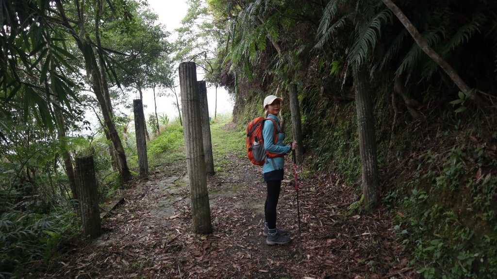 獵貍尖步道連走烏塗溪步道登山健行趣(淡蘭南路TK3-6&TK3-5&TK3-4)_2404424