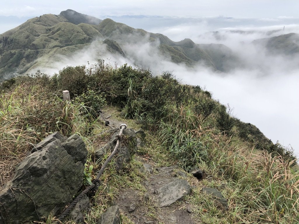 抱著茶壺不放封面圖