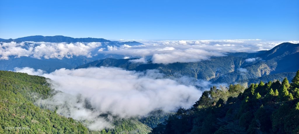 #太平山 #望洋山 #觀雲步道 #日出 #雲海 11/8_2931190