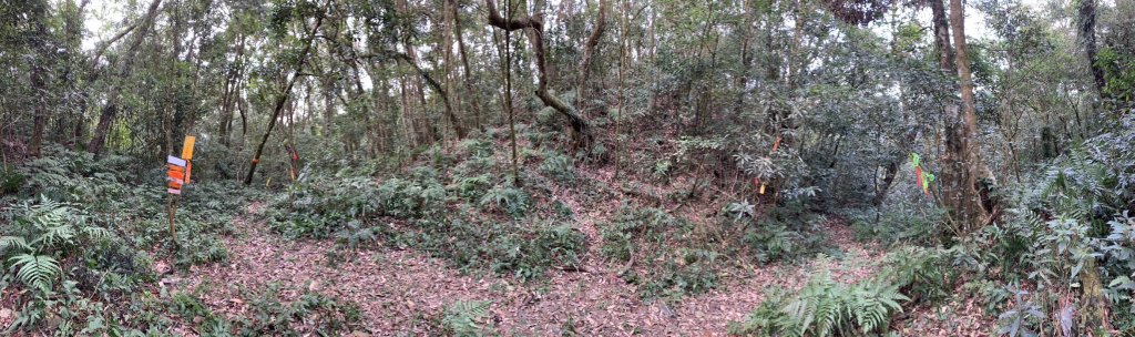 20240212屏東鱈葉根山-日湯真山縱走_2431740