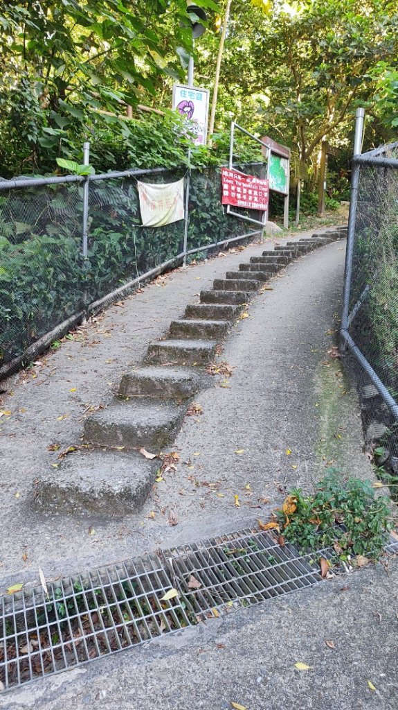 西湖捷運站-金面山-大崙頭山-圓覺-大湖公園捷運站封面圖