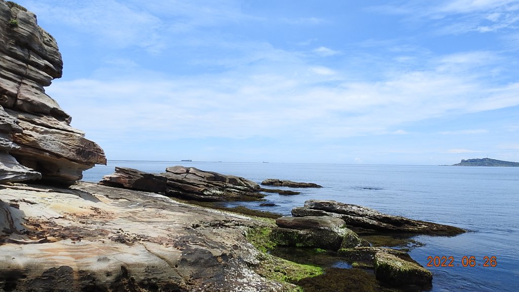 雲山水花鳥蝶-天龍國阿伯的日常6/25&26_1745013