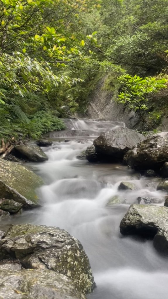 烏來加九寮溪-卡拉莫基清幽小秘境/釣魚💙_2609073