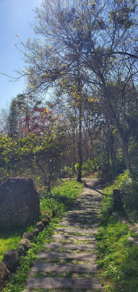 2025-01-30迷糊步道_2704434