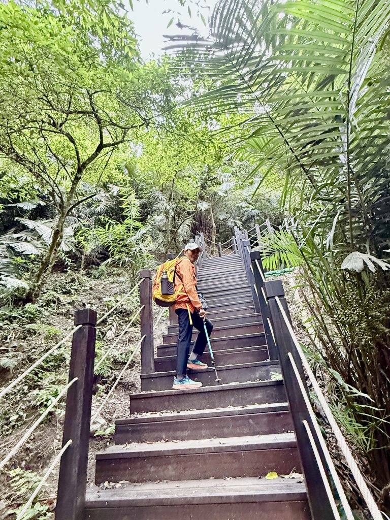 雪山坑步道悠遊順訪雪山坑山(再訪)  2025.12.3_2953735