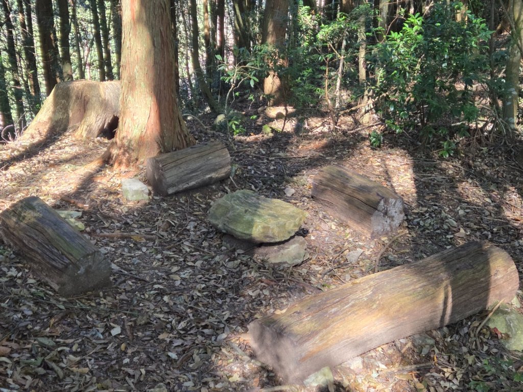 屋我尾山（谷關七雄）_2664197