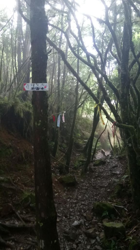 仙女的珍珠項鍊散落在加羅湖_352776