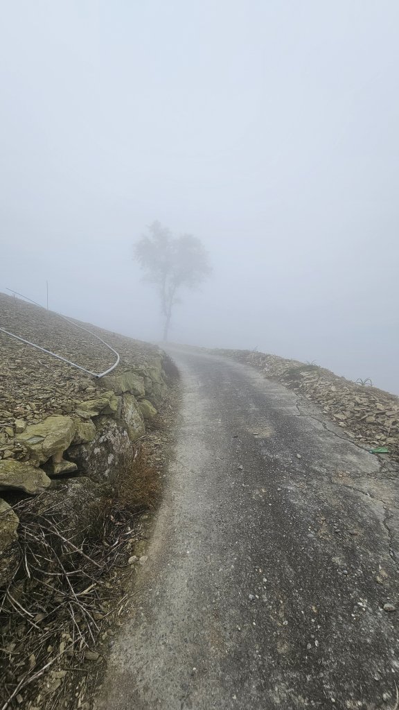 240329-第40座小百岳#094太麻里山O繞。美美兔不放過任何一個可以爬山的時間。_2469431