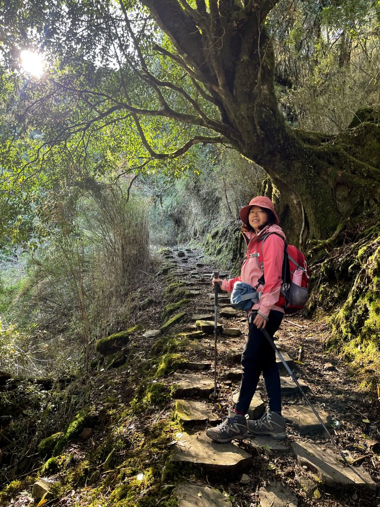 鹿林山+石水山+東埔山 20240402_2481619