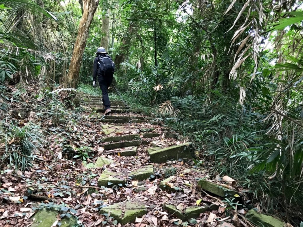 烏山步道走刣牛湖山_468604