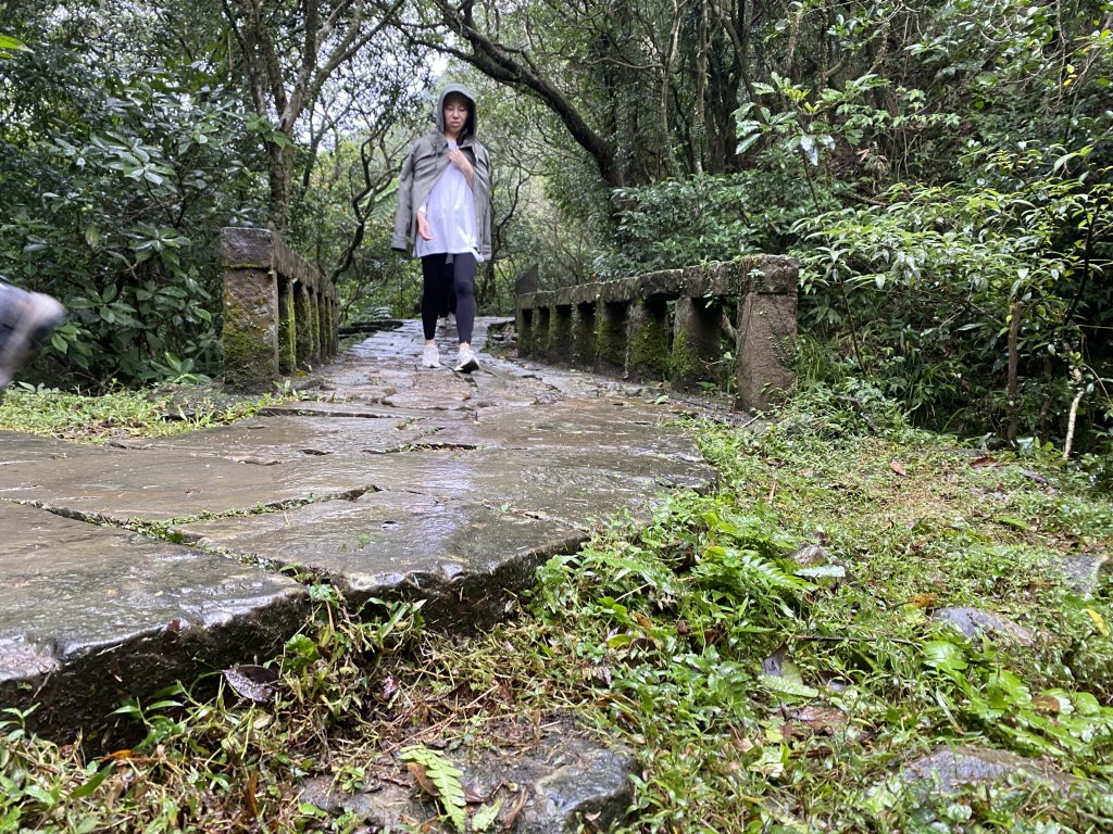 《2025草嶺古道芒花季｜雨天版完整攻略 × 七顆寶石路線實走》_2949343