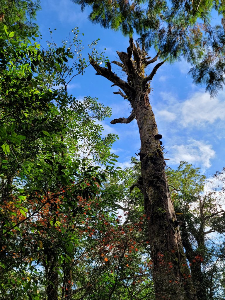 福巴越嶺國家步道_2364539