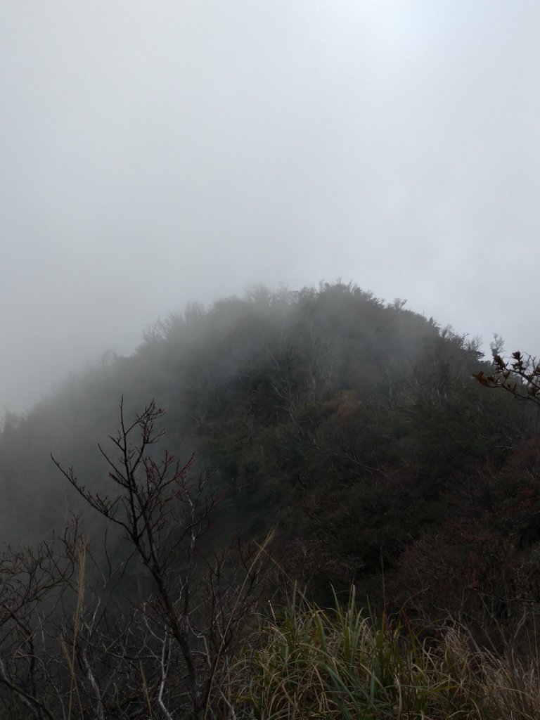 【苗栗縣南庄鄉】加里山-鹿場登山口_838796