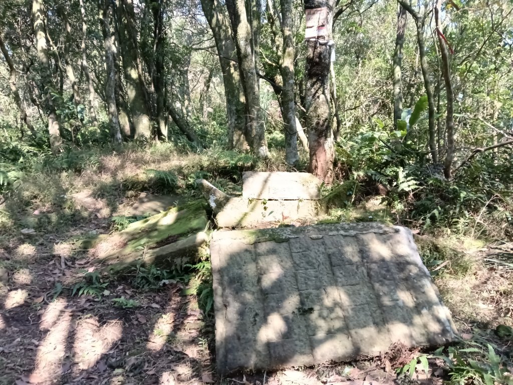 坪林區楣子寮尖+土地公遺址+火燒寮古道+枋山坑古道+枋山坑崙O型封面圖