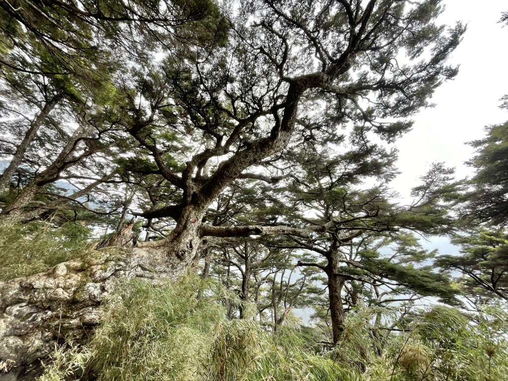 玉山群峰_2116634