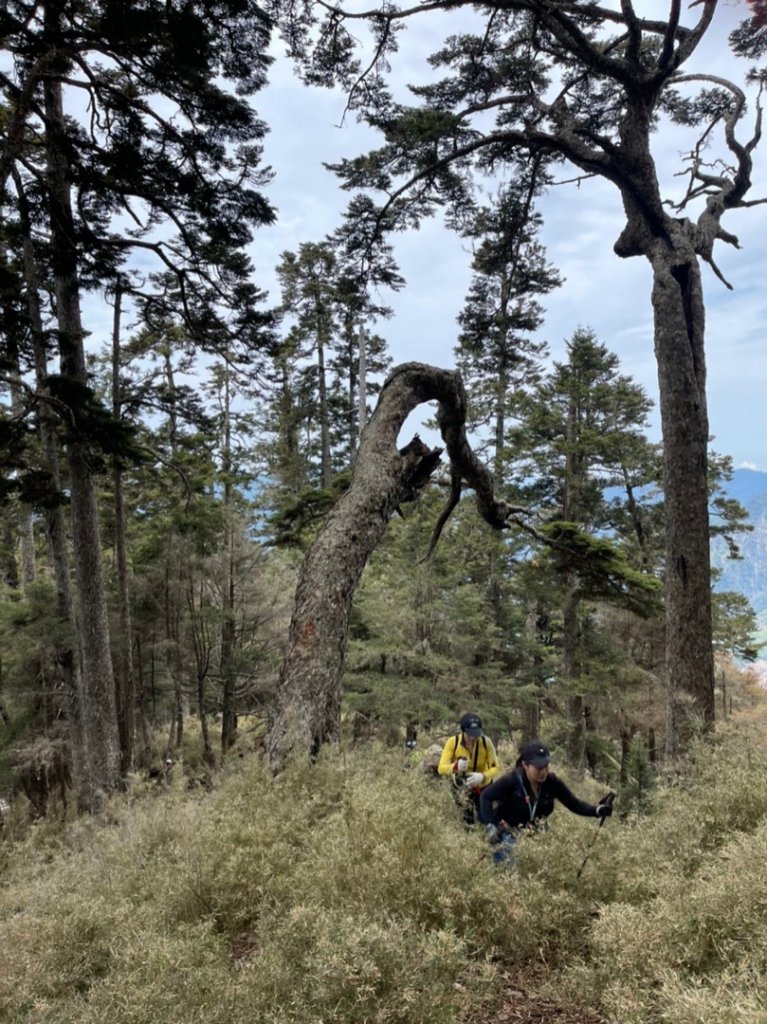 楠梓仙溪上南玉山_1373021