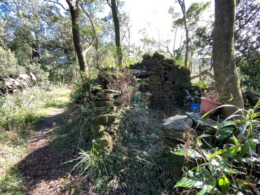 2023/12/14 碇內尖山 龍門山 五分山 淡蘭古道中路_2399803