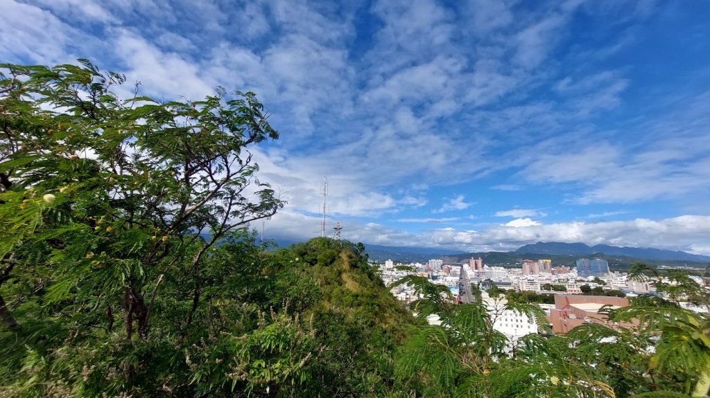 鯉魚山封面圖