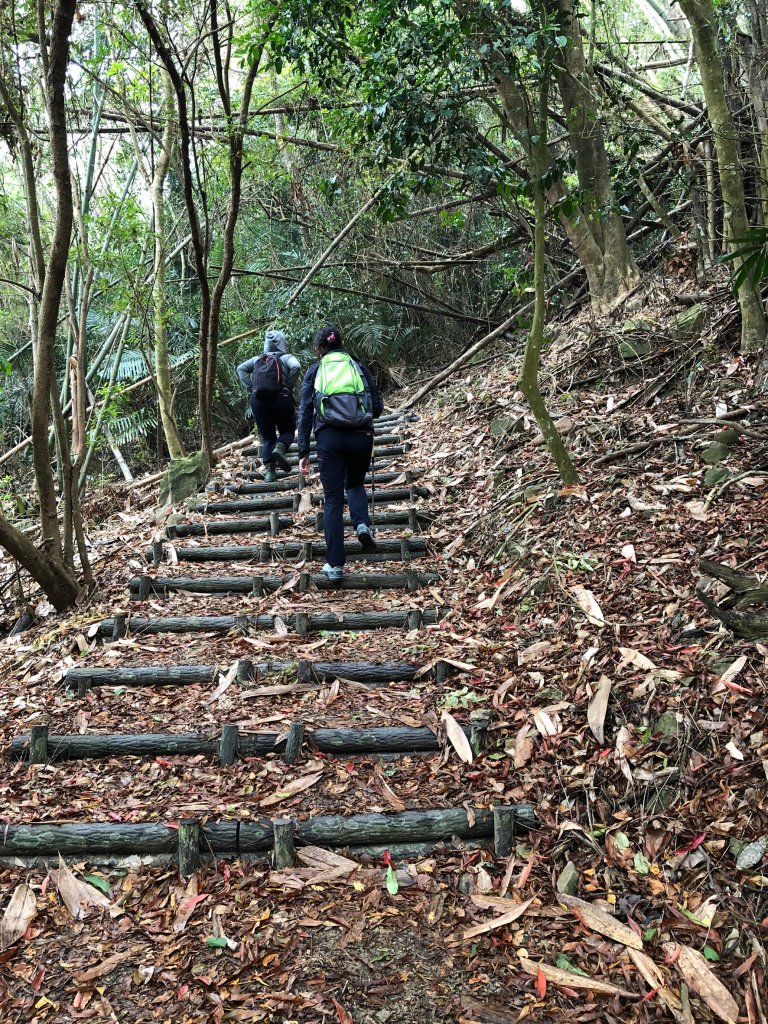 2020.04.12六義山_917924