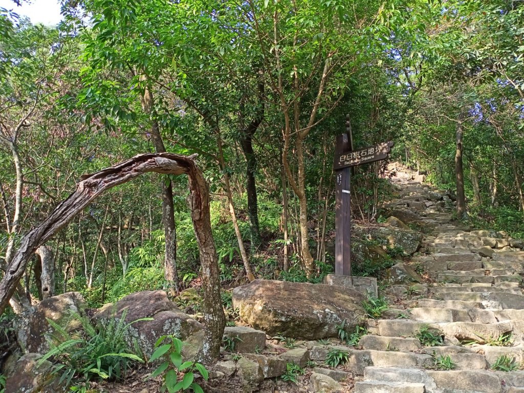 【台北-臺灣百大必訪步道】金面山親山步道_1104288