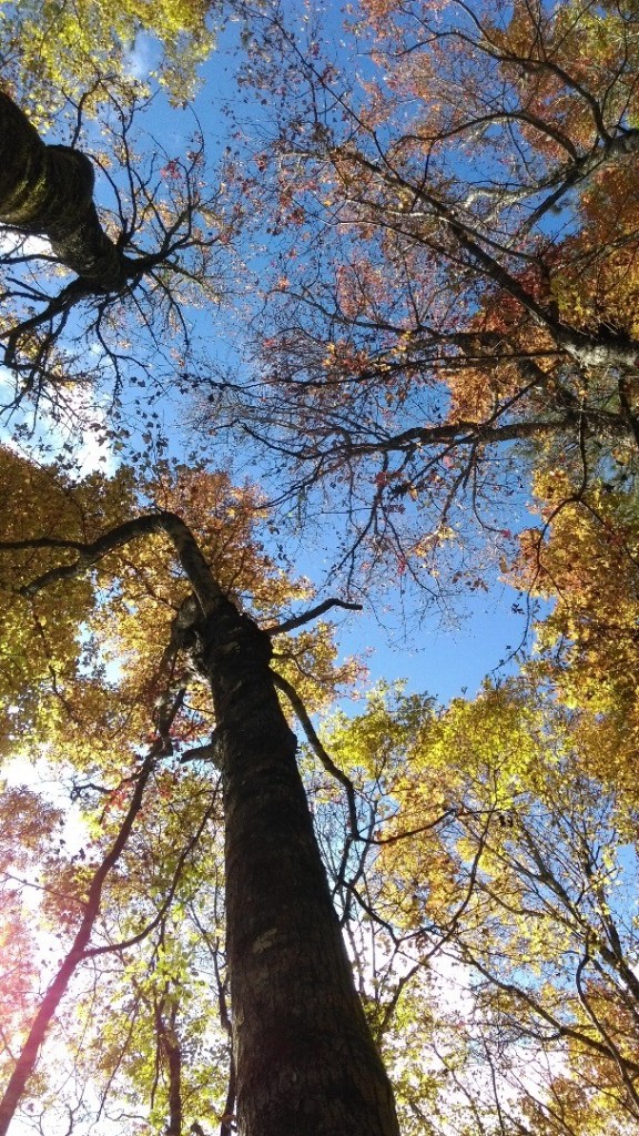 霞喀羅古道初體驗_237103