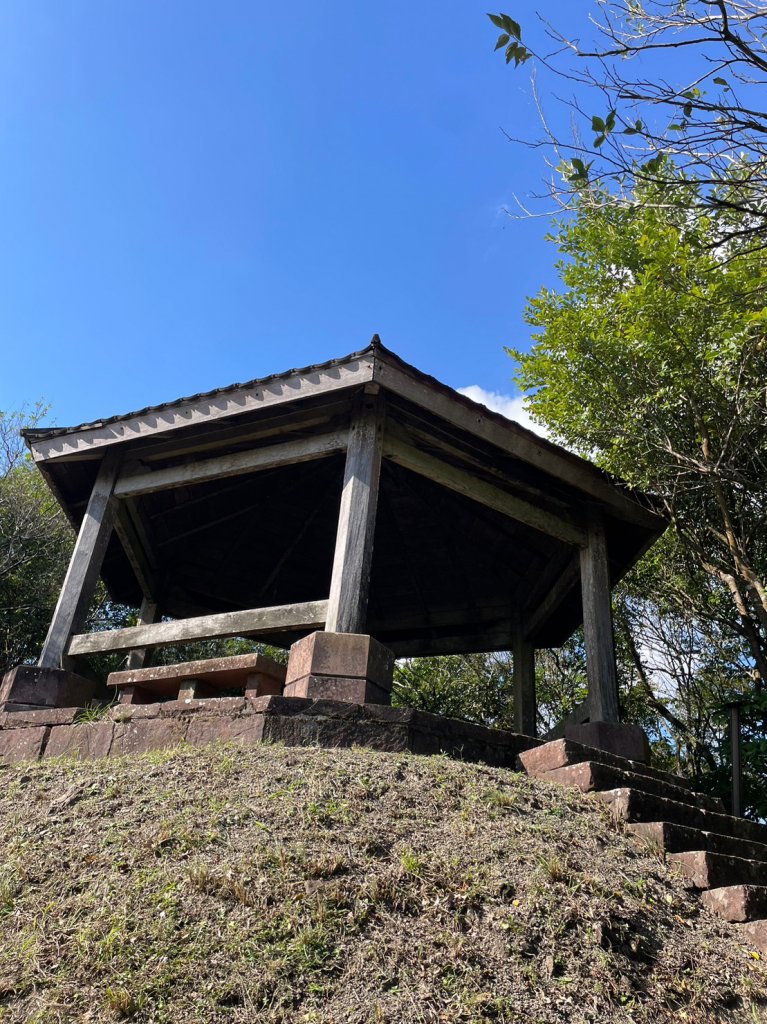 2023芒花季_2357442