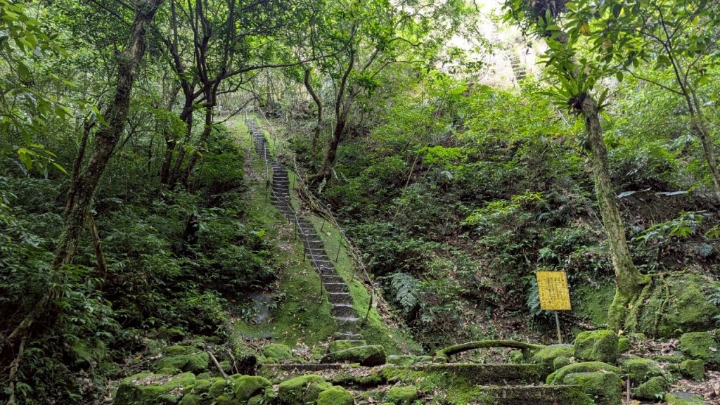 孝子山步道 (慈母峰+普陀山)封面圖