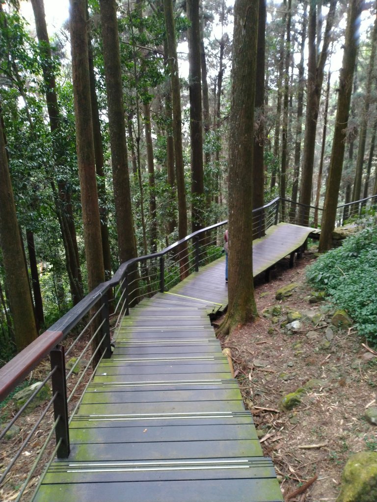 2023-03-04 奮起湖奮起步道_2057744