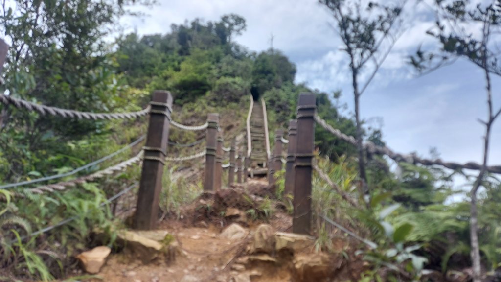 白毛山第五刷_1752796