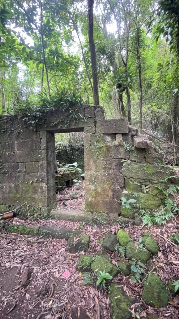 雙溪-四柑-後番子坑古道-土地公-上下內平林-大平林山-石笋-焿子寮古道-猴硐-金瓜石大小粗坑古道_2813190