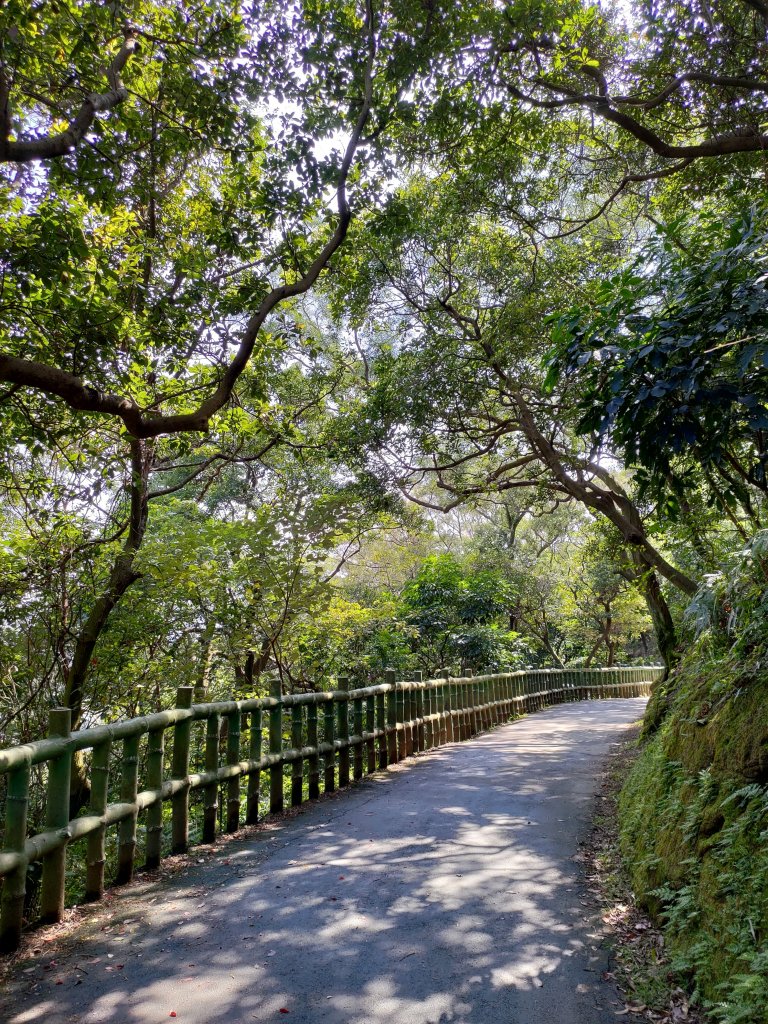 鶯歌石-牛灶坑山-孫龍步道O型_836978