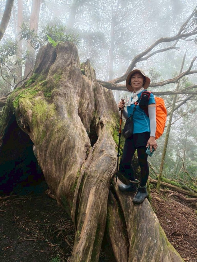 魔幻森林-塔曼山-20250810_2866642