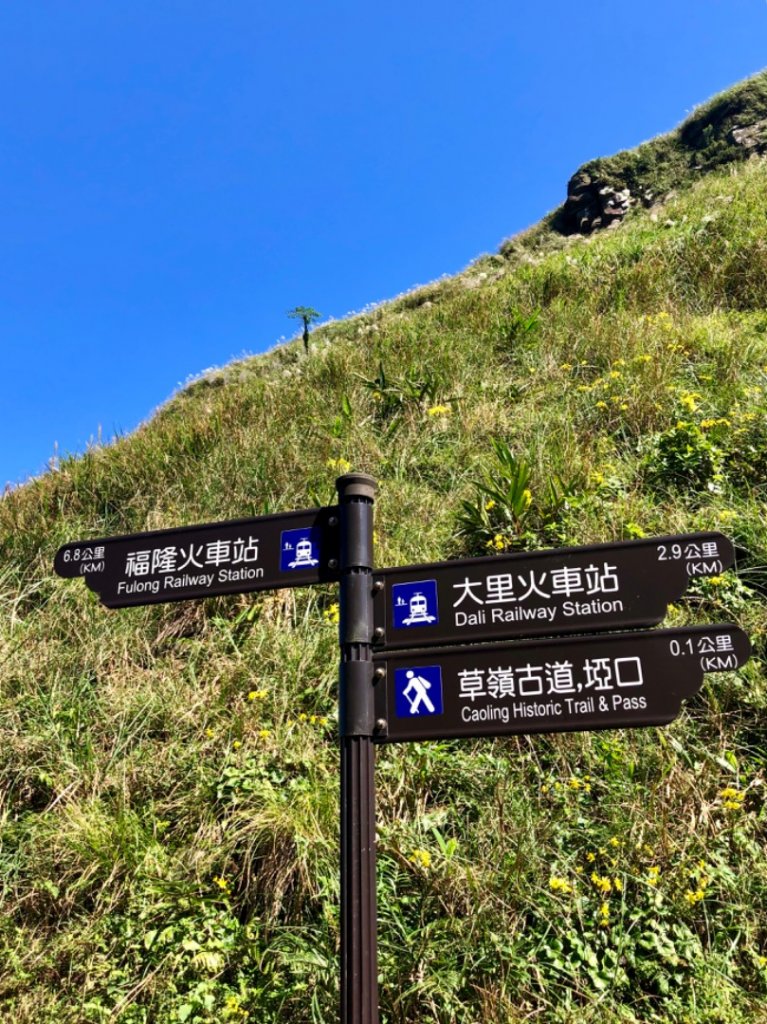 2018-11-11宜蘭草嶺古道芒花_468355