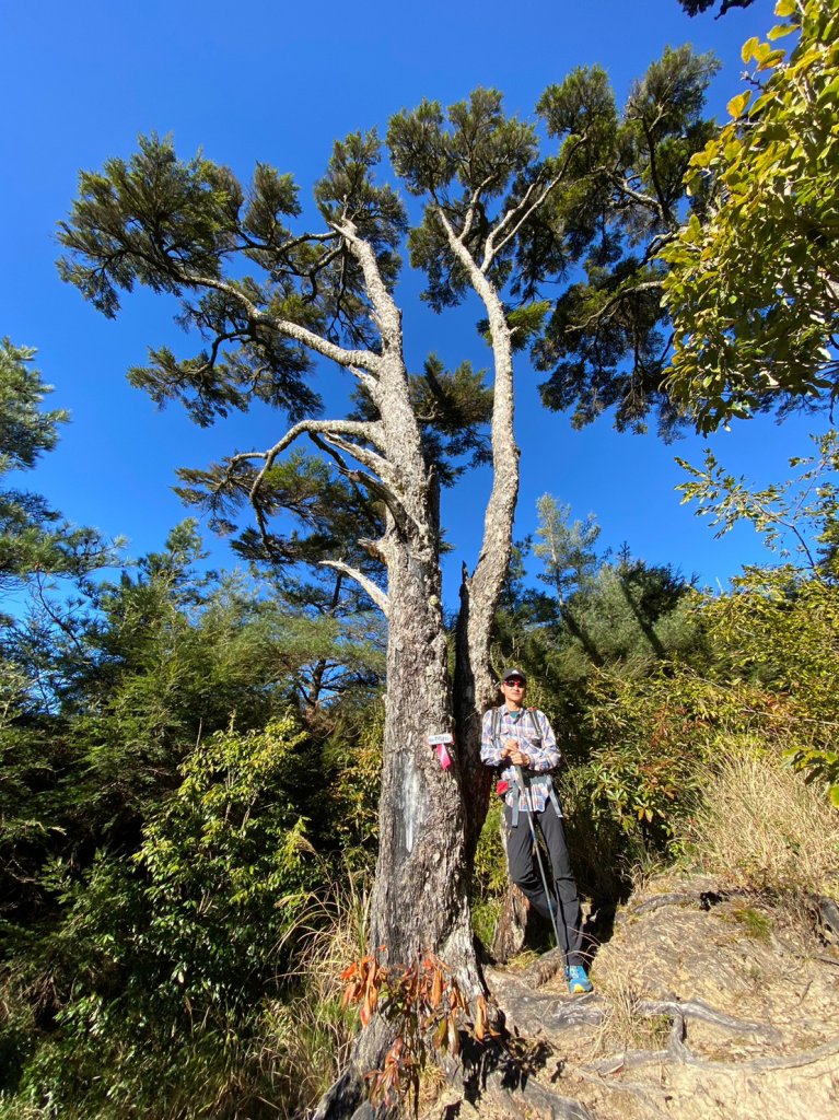 羅馬縱走_2038441