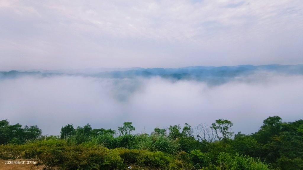 翡翠水庫壩頂 #火燒雲雲海 #日出雲海 #鱷魚島 #藍腹鷴 4/29_2773798