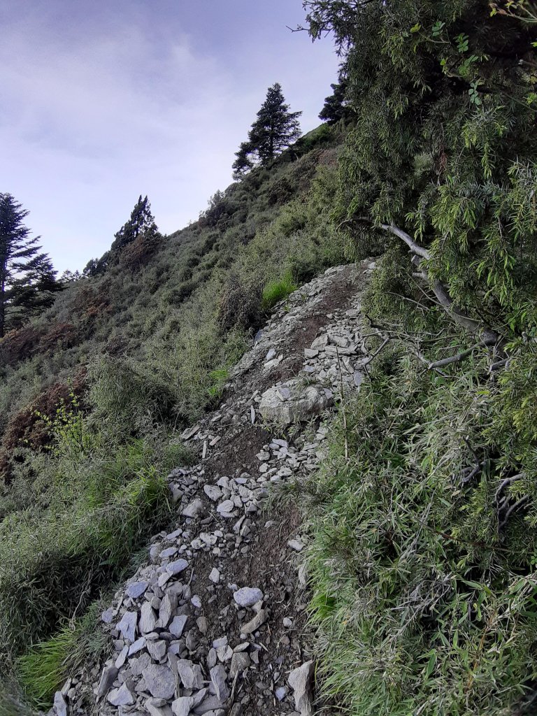 畢祿羊頭單攻之旅._636789