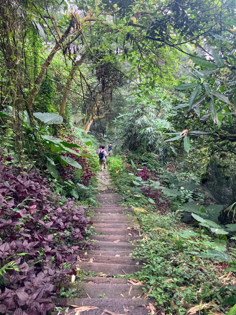 獨立山國家步道_2615950