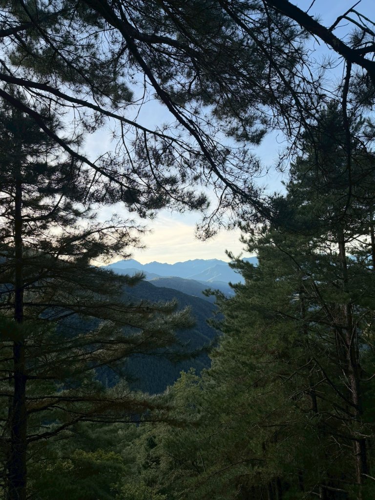 1141108-09桃山單攻_2935985