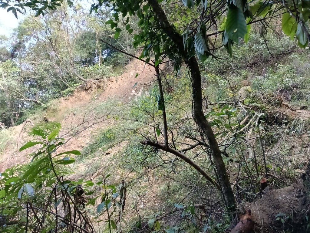雙溪區大平林山+后番子坑古厝+后番子坑山+武山煤礦事務所+焦炭窯O型_2988668