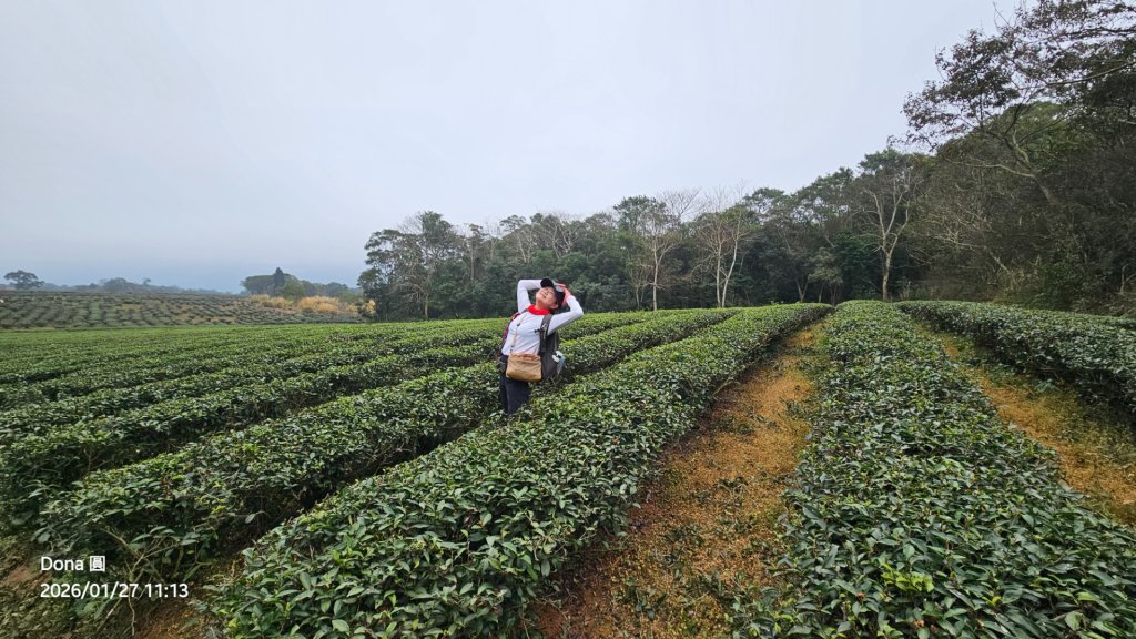 20260127三通嶺山.三義山(大桁茂山).慈濟山.大坪山大O走_2989917