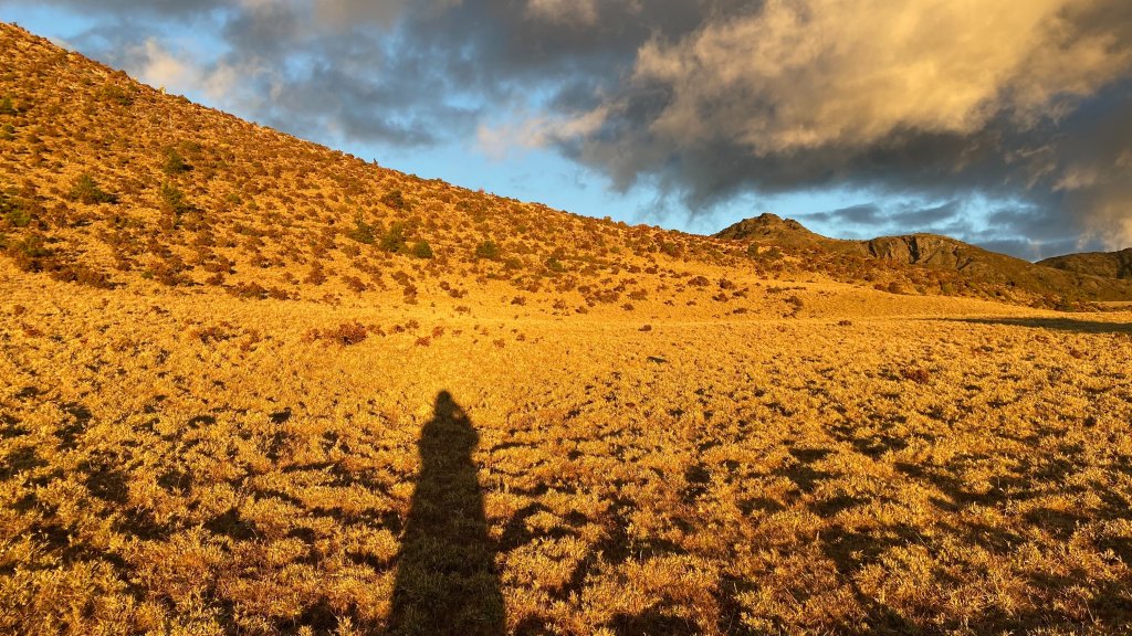 南二馬博封面圖