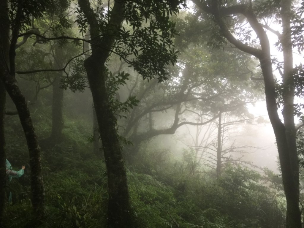 志繼山-東眼山-滿月圓郊山路線封面圖